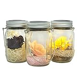 Gadgy  Pot Bocal Solaire Set | 3 Pièces avec 5 LED’s Blanc Chaud | Verre Lanterne Lampe Lumière Jardin Exterieur