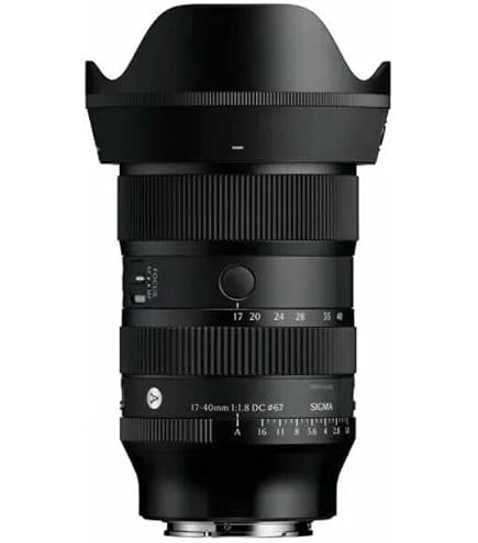 Sigma 17-50mm F/2.8 EX DC OS HSM Zoom Lens for Nikon DSLR Camera