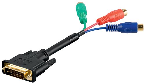 Wentronic DVI-Adapter (DVI-Stecker auf RGB-Buchse, vergoldete Kontakte)