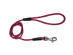 Agnpetspot. Blue Pulse Dog Leash (6 Mm) (Red)