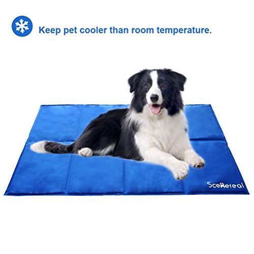 Scenereal Tappetino Refrigerante Per Cani E Gatti Saile