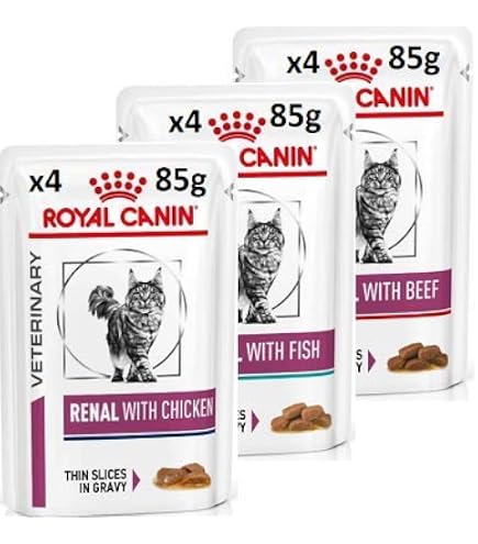 Royal Canin Veterinary Renal Liquid Cat, 3 x 200 ml, Complete Diet for Cats,  Specially Designed to Support Kidney Function, Contains EPA, DHA and  Proteins : Amazon.co.uk: Pet Supplies