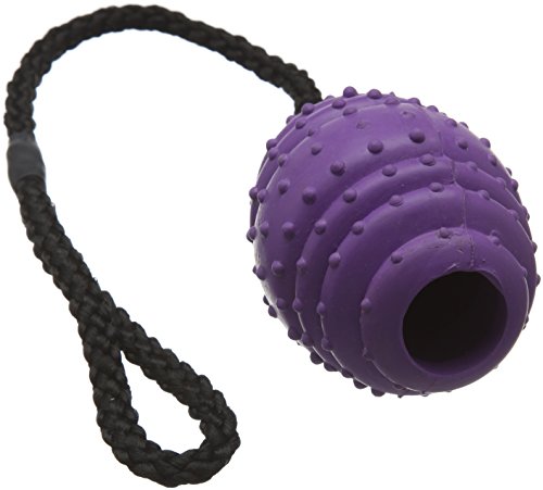 Classic-Pet-Products-Rubber-Oval-Ball-on-a-Rope-Large-100-mm-PurpleBlack