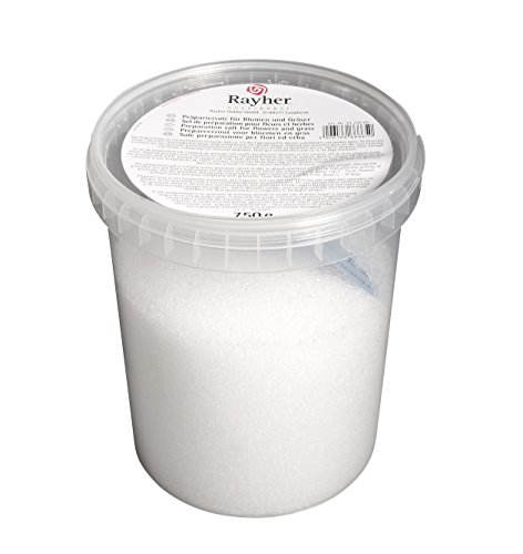 RAYHER 3423000 Präpariersalz für Blumen und Gräser, Dose 750 g