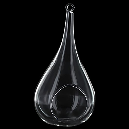 Gazechimp Transparent Kegelglas Wand Hängen Glas Vase Für Pflanzen Blumen Wohnzimmer Wand Dekor - 2