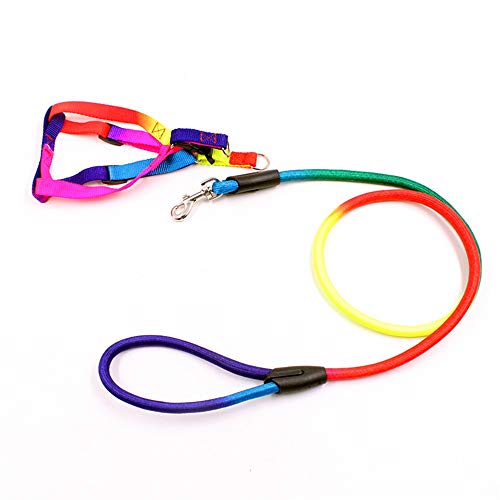 Preisvergleich Produktbild Baoffs Einstellbare Hundetrainingsleine Dinge Bunte Rundseil Zugseil Kleine Hund Hyäne Brustgurt mit Rundseil Welpen Kette Hund Seil. für Training, Spielen, Gehen