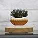 Produktbild Autone Levitating Air Bonsai-Topf, – mit magnetischer Levitation von Blumen und Air Bonsai-Topf