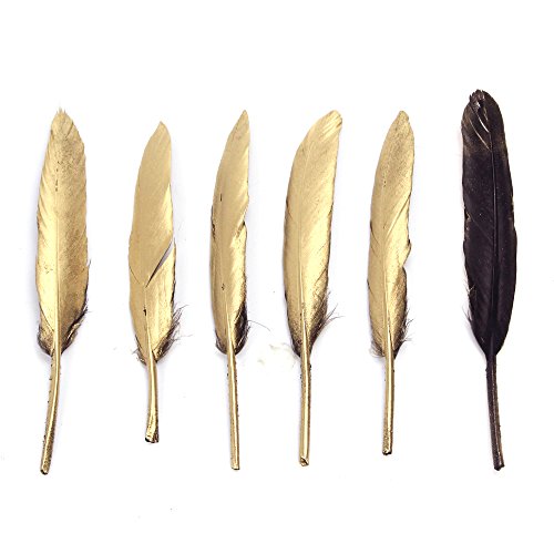 Coceca Goldene Feder 72 pcs, 10-15cm, für verschiedene Umgebung geeignet, als Verkleidung und Ausschmückung wie Geburtsparty, Hochzeit und Treffen - 3