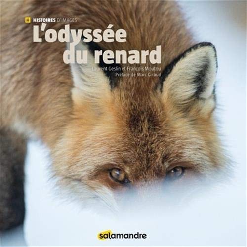 Télécharger L'odyssée du renard Francais PDF