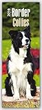 Border Collies 2016: Original BrownTrout-Kalender - Slimline [Mehrsprachig] [Kalender] (Slimline-Kalender) by 