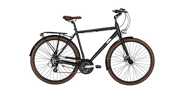 Alpina Bike, Bicicletta Trekking 21v Uomo Comfort : Amazon.it: Sport e  tempo libero