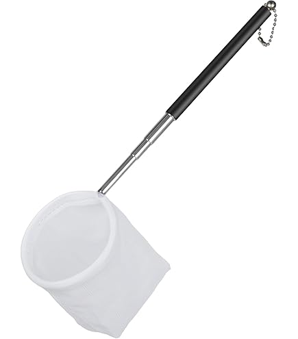 Set De 2 Épuisettes Miniatures Pour Aquarium Avec Manche En Acier