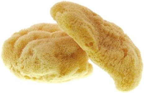 Natural Sponges of Sea of the Mediterranean Sea For Menstrual Cycle