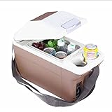 Cajas Calientes Y Frías Congelado Coche Mini Coche De Refrigerador Del Refrigerador Del Coche Apoyabrazos