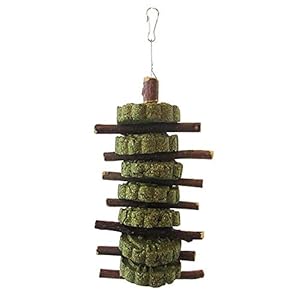 KOBWA – Palos de madera de manzana con caña de molar de hierba, aperitivos de animales naturales para morder dientes, juguetes para conejos, hámsters, cobayas, chinchillas, ardillas y otros animales pequeños