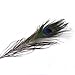 Museya 50pcs 25-30cm Beautiful Natural Peacock Tail Feathers Eyes Feathers Decorations for Craft /Art /Dress /Hats /Bridal Costume /Party