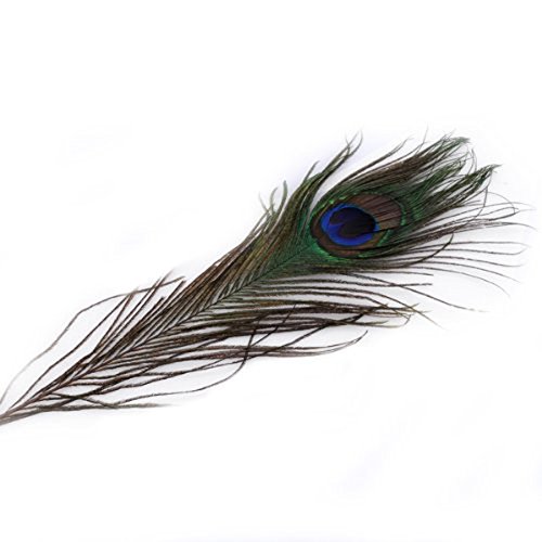 Museya 50pcs 25-30cm Beautiful Natural Peacock Tail Feathers Eyes Feathers Decorations for Craft /Art /Dress /Hats /Bridal Costume /Party