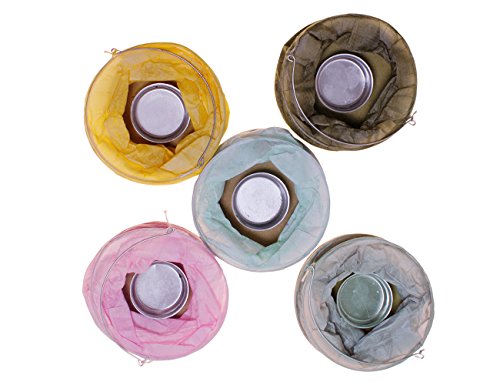 kadoh Papierlampions Set of 5 pastell (M) - 2