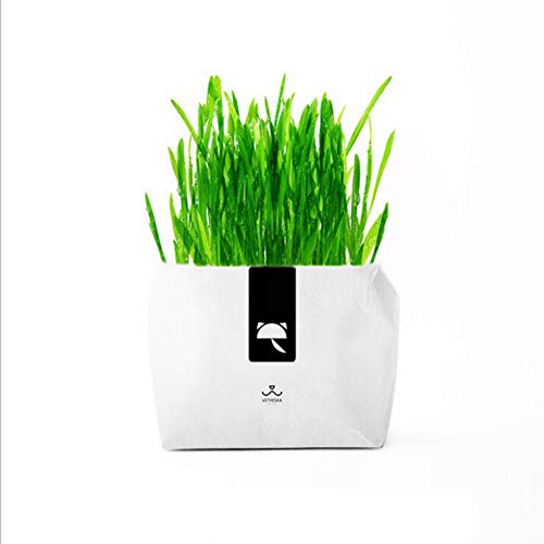 Preisvergleich Produktbild CJN PET Grassamen, Soilless Papierbasierter Anbau, Natürliche Katzen Gras Saat Beutel