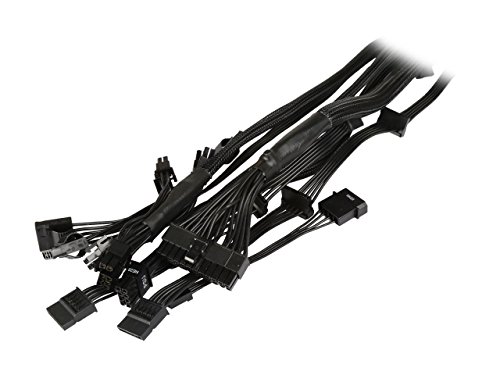 Seasonic SSR-650FX - Fuente de alimentaci  n  Color Negro