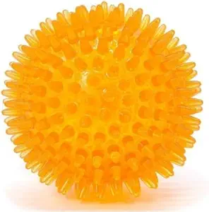 PSK PET MART Dog Ball TPR Material Chew Orange Ball Rubber Ball for Dog (Large Size)