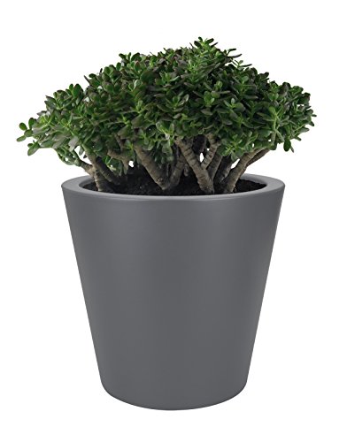 elho Pure Straight Round Pflanzgefäß 50cm – Weiss - 2