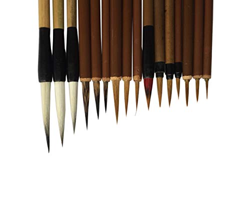 diandiandidi la Pittura della Calligrafia alla Spazzola Professionale,Pacchetto da 16 pz