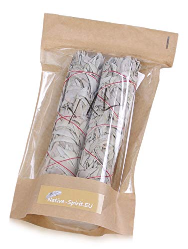 2 x XXL: Xtra - 2 rametti di salvia bianca per affumicatura, 75 - 80 g l'uno, Di Native-Spirit.eu - ~ 22 - 24 cm
