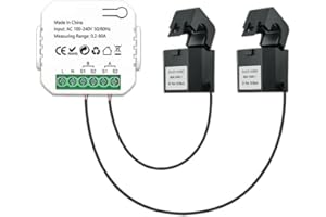 RANRAO for TUYA Smart 2 Way WiFi for Energy Meter, Smart Bidire for CTion Energy Meter, 80A with 2 Clamp for CT Real-Time Energy Monitoring Power Statistics