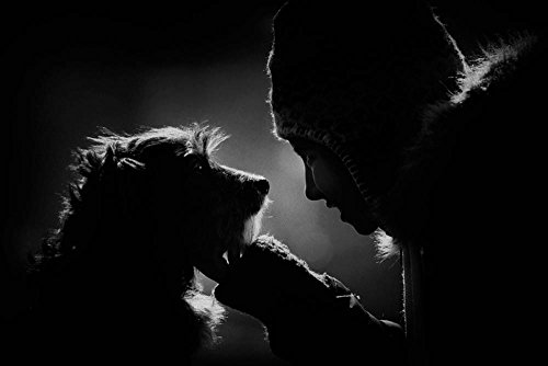 Kunst für Alle Reproduction/Poster: Antonio Grambone Bond - Affiche, Reproduction Artistique de Haute qualité, 90x60 cm