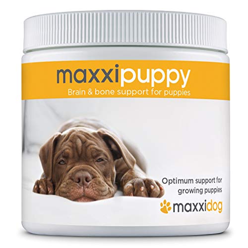 maxxidog - Suplemento Cachorros maxxipuppy para Cerebro y Huesos - Le Da a Tu Cachorro el Mejor Comienzo en la Vida - Perros Jóvenes - Ayuda en el Desarrollo en Etapas Tempranas - En Polvo 180g
