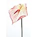 Produktbild Kunstblume Anthurium, künstliche Anthurie Flamingoblume rosa H. 80cm Emerald WA
