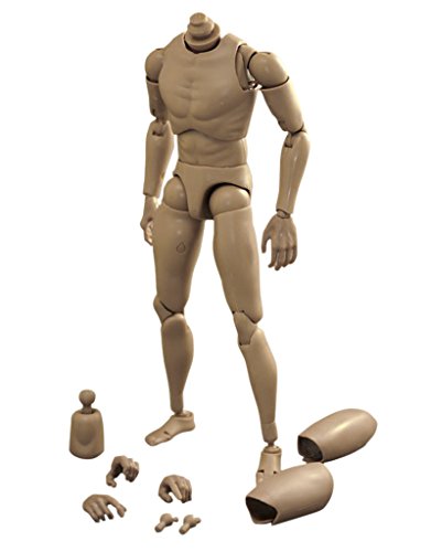 Figura de Acción Juguete Cuerpo Hombre de 1: 6