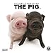 Produktbild The Pig 2017: Broschürenkalender mit Ferienterminen