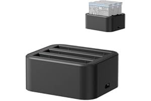 DXHBC Dexian Action Camera Battery 1800 mAh 2 Pieces and Triple Charger Set for Insta360 X3, X2 / X3 Charger with USB-C Cable Charging Station Charging Cable Accessories (Charger)