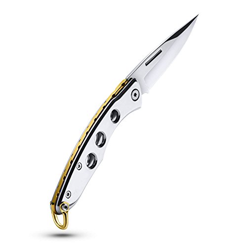 Love-KANKEI Edelstahl Klappmesser Taschenmesser Gemüsemesser Obstmesser Universalmesser mit Holzgeschenkbox, Klingelänge 6,5cm