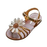 ♬❤️ Sandalias para Bebés Zapatos primeros pasos para niña Mocasines para Bebés Zapatillas para Bebés zapatos bebe niño zapatos bebe niña primeros pasos zapatos bebe primeros pasos zapatos bebe niña con suela zapatos bebe niña biomecanic zapatos niña zapatillas prewalker 0-12 meses bebé zapatos princesa patucos botines bebe niño zapatillas bebe ropa bebe niña botas bebe patucos bebe niña botines bebe niña bebes recien nacidos