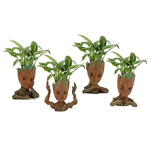 Zart Home Decorative Cute Shaped Polyresin Groot Planter Pot/Vase for Office Reception, Living Room, Perfect for Gifting(Set of 4)