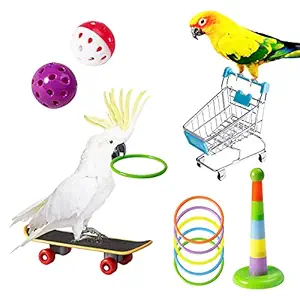 REHTRAD 5 in 1 Set Parrot Toys,Bird Toys for Parrot Birds,Bell Ball, Trolley, Training Skateboard, Parrot Ring, Rainbow Ring, Piggy Bank,Birds Toys Set (Multicolor)