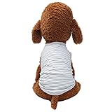 🍇🍇🍇correa de adiestramiento para perros mochila para llevar perros pienso perros pienso para perros royal canin pienso para perros 20 kg collar cuero perro arnes para perros peque arnes perro julius 41 cachorros de perros arnes perro mediano arnes perr casetas para perros porta perros champu perros lanzador de pelotas para perros accesorios perros accesorios para perros collares antiparasitarios para perros collares perros pastillas desparasitacion perros