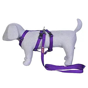 Pets Like Double H Harness with Leash Set Purple (Medium)