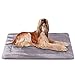 Produktbild Hundebett Grosse Hunde 120 x 85 Weiche Hundedecken Waschbar Hundematte Kissen Rutschfest Grau Lila XL