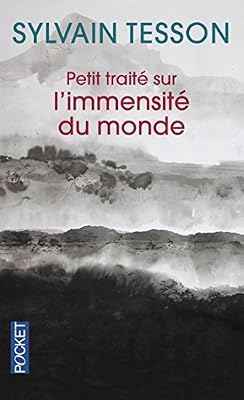 Pocket Petit traité sur l'immensité du monde