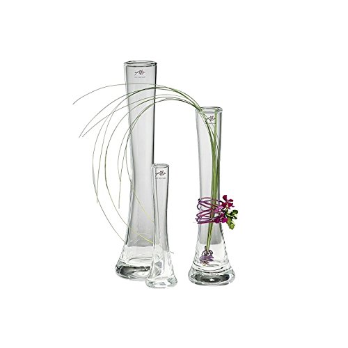 Sandra Rich 360243 Vase, Glas, transparent, 18.4 x 4.2 x 3.4 cm
