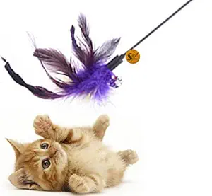 Sage Square Jumbo Size Pet-Friendly Feather Teaser Stick Training Toy (50 cm)