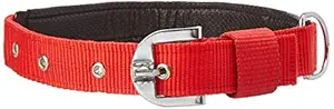 Munchos High Soft Quality Padded Everyday Dog Collar (Colour May Vary) (1.25 Inchi (Large))