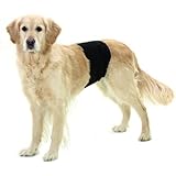 Karlie Flamingo 49012 Hundeschutzhose 40 x 10 cm, schwarz