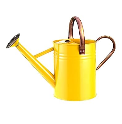 Gardman 34872 Arrosoir Métallique Zeste d'Orange