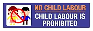 Paper Plane Design No Child Labour Sign Board for School Office Hospitals Stores, Amazing Design with Attractive Look for Multipurpose use Multicolor 12 X 4 Inch