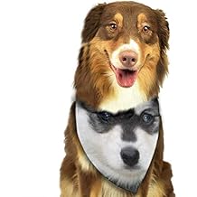 Déguisements Et Accessoires Déguisements Bkph Vêtements Pour